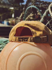 Brown cap on a pumpkin with blurred background