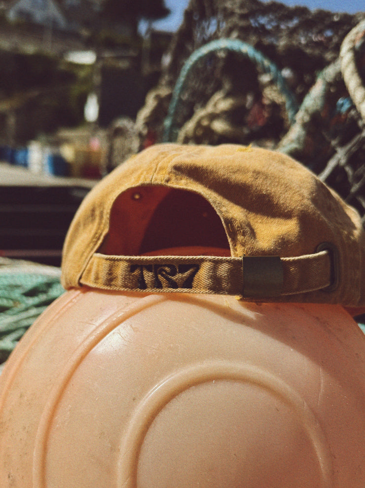 Brown cap on a pumpkin with blurred background